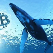 Digital market channel preview